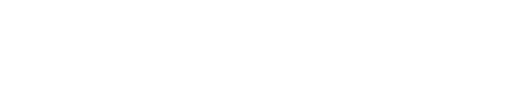 Skindion